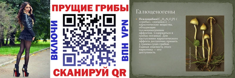 Галлюциногенные грибы мицелий  Верхний Тагил 